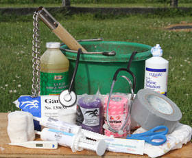 Equine First Aid Kit